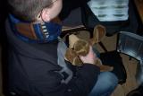 img127.jpg
