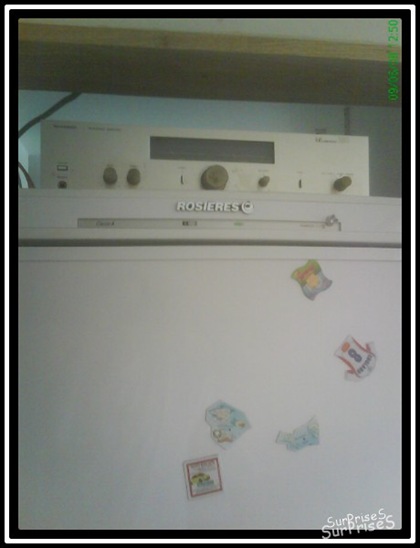 SurPriseS_DSC00274